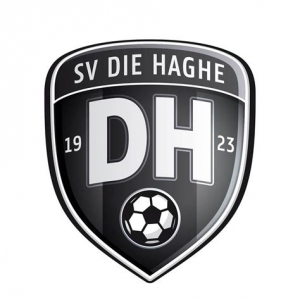 Logo DH